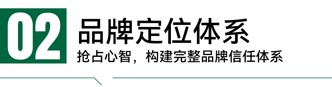成霖-案例配图_画板 1 副本.jpg