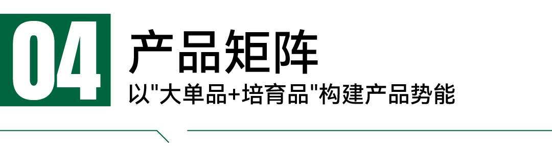 成霖-案例配图_画板 1 副本 3.jpg